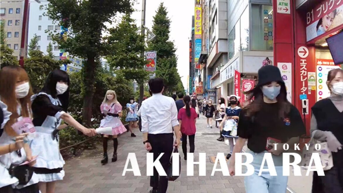 [4K] Japan Walk 🇯🇵 秋葉原を散歩 - AKIHABARA - Tokyo's famous city for Anime, Maid Cafe, and Gaming
