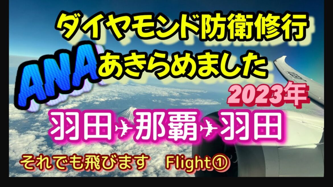 羽田→那覇→羽田　 ANAダイヤモンド防衛修行あきらめました　それでも飛びます　Flight①