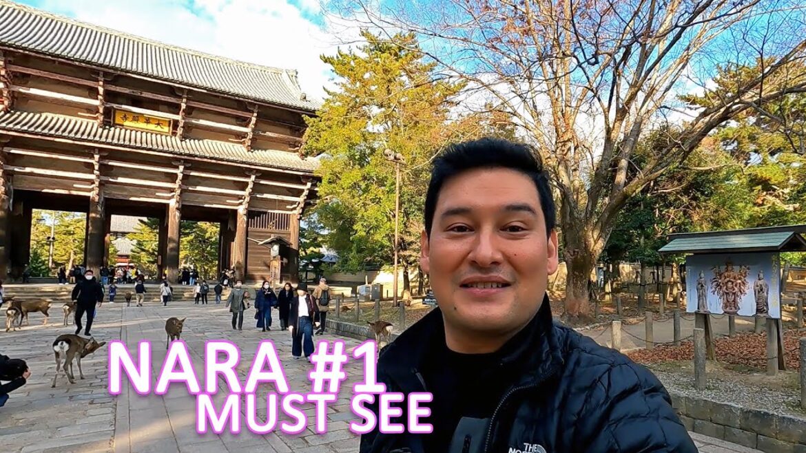 Nara Day Trip From Osaka