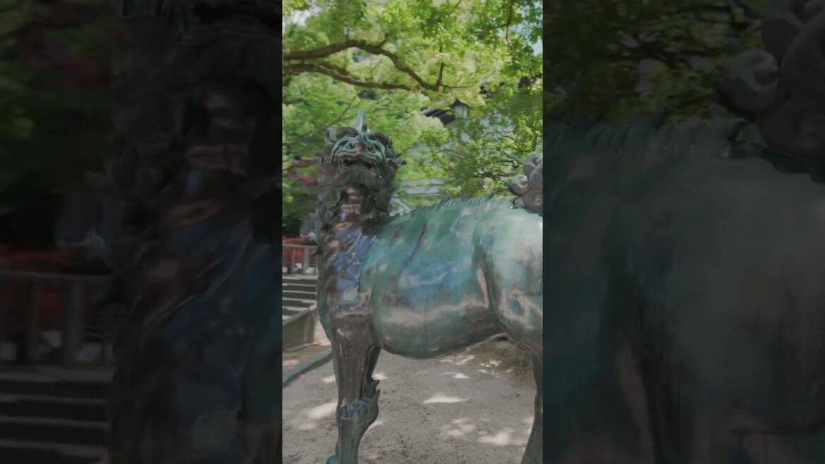 Dazaifu Tenmangu Shrine, 太宰府天満宮 #shorts