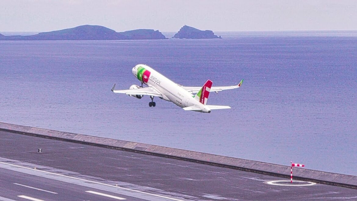 FULL DAY of SPOTTING at Madeira Airport