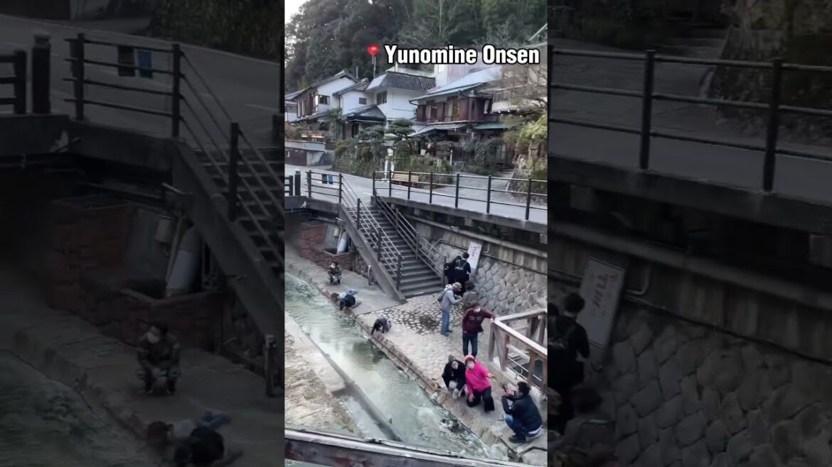 Weekend in Japan Countryside edition~ Tanabe City, Wakayama #japantravel #wakayama #tanabe