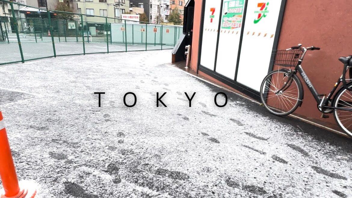 Tokyo Snowing in Japan 2023 Tokyo Snowing in Japan 2023