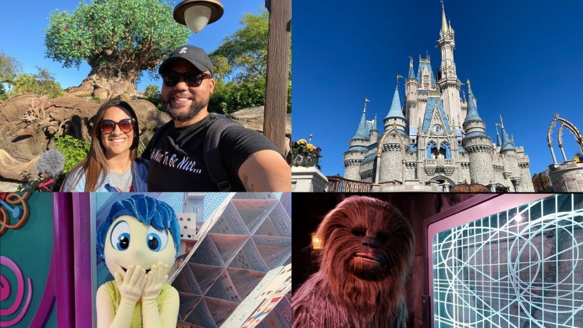 4 Parks 1 Day Challenge At Walt Disney World!