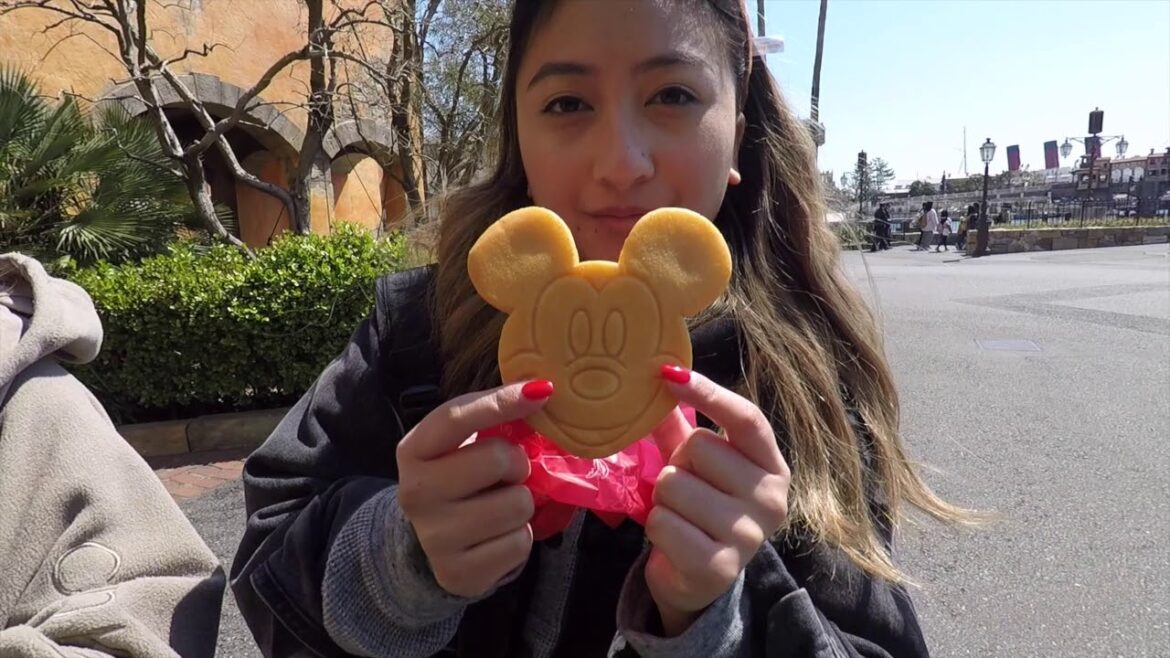 JAPAN PT. 2 | TOKYO, TOKYO DISNEY, TOKYO DISNEY SEA