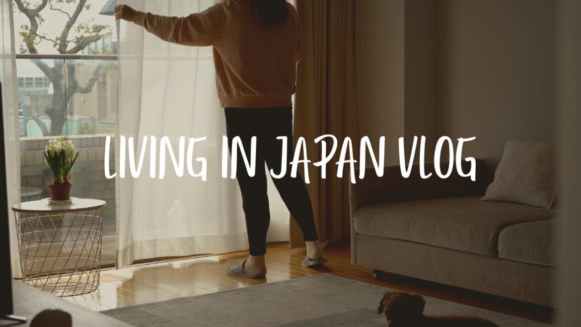 Living in Japan I Winter Vlog I Cleaning day and unpacking after vacation I Walk on the Snow