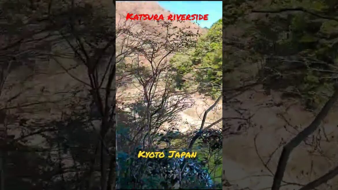 Katsura riverside scenery Kyoto Japan  #kyoto #shorts #japan Katsura riverside scenery Kyoto Japan  #kyoto #shorts #japan