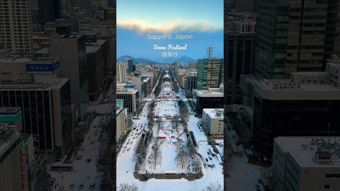 Japan Snow Festival 2023 ❄️‼️ #japan #japanwinter #snow
