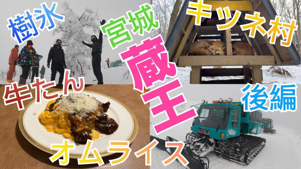 【冬の宮城県】宮城旅行1泊2日の王道旅［後編］