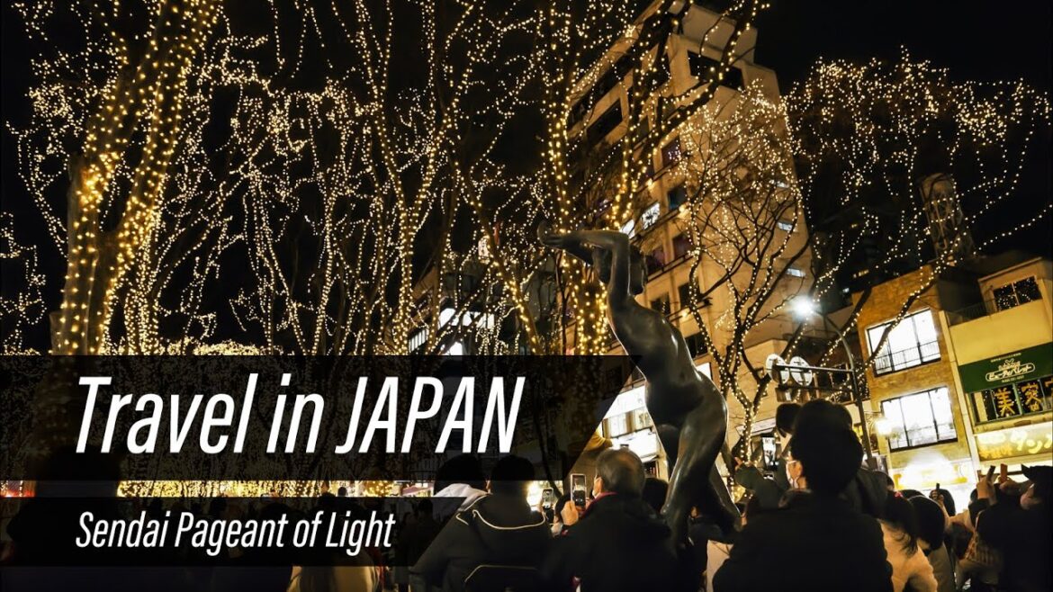 宮城の冬を彩るイベントに行ってみた✨ 仙台光のページェント 宮城の冬を彩るイベントに行ってみた✨ 仙台光のページェント