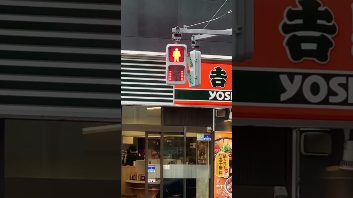 #tokyo #japan #travel #asd #backpaking #food #backpacking #tryingnewfoods #matthias ✌️