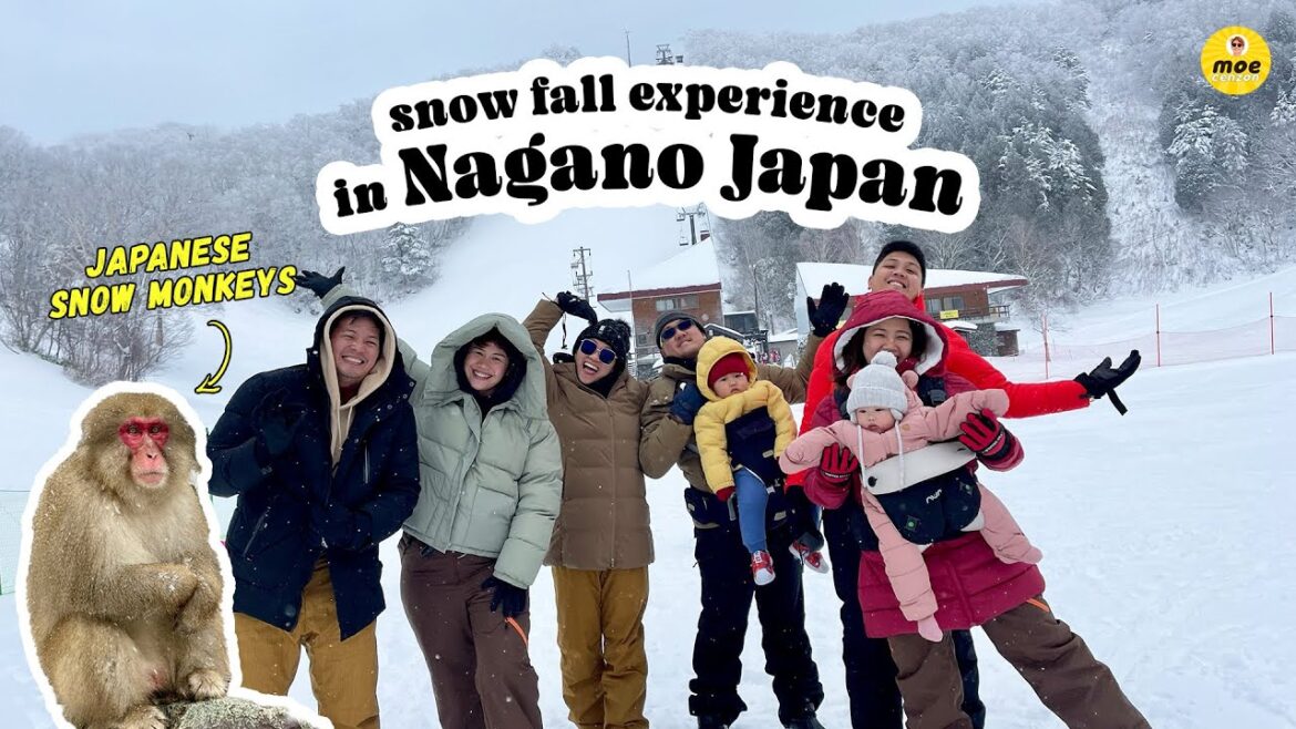 Snow Monkeys Travel Guide + Budget | Shinkansen Bullet Train | Ichiran Ramen | Nagano JAPAN