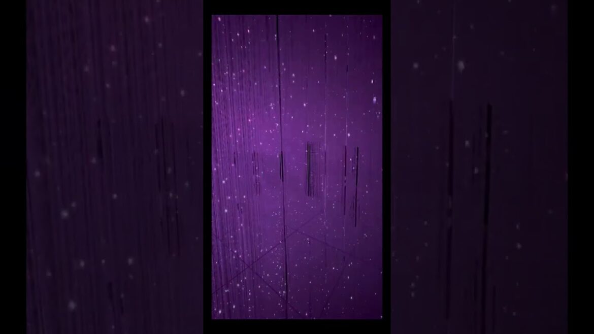 teamLab Planets TOKYO ✨ #tokyo #teamlabplanets #japan #thingstodotokyo #travel #japanthings