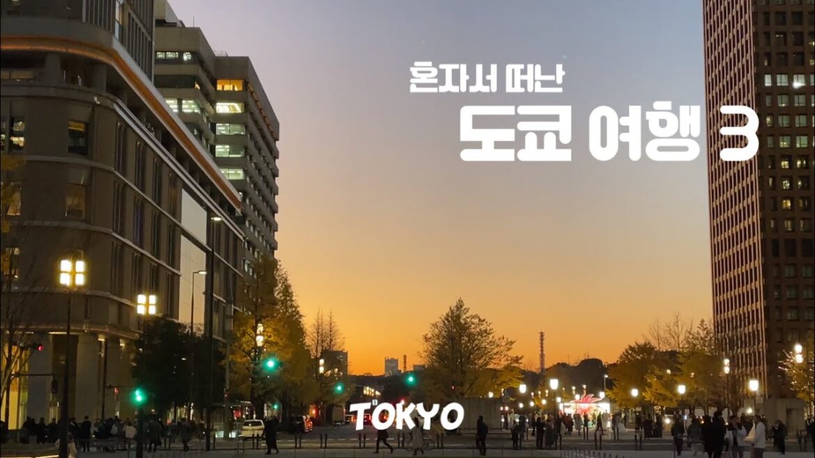 혼자서 떠난 도쿄여행 3 | 도쿄 | 긴자 | 시부야