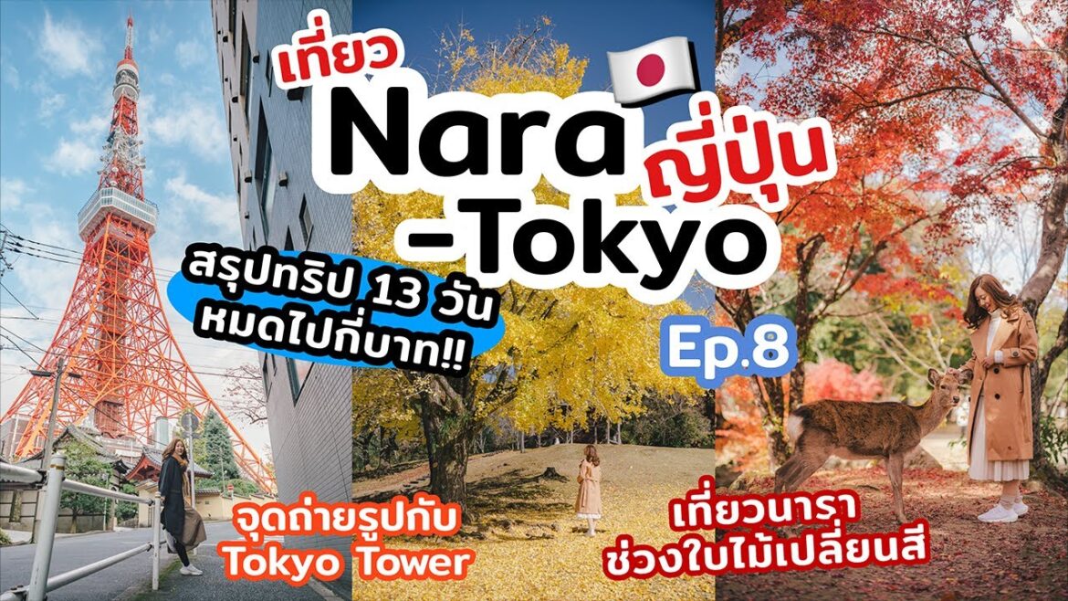 เที่ยวญี่ปุ่น นาราเมืองน้อลกว้าง พิกัดถ่ายรูปสวยรอบโตเกียวทาวเวอร์ | เที่ยวแล้วเที่ยวอีก เที่ยวญี่ปุ่น นาราเมืองน้อลกว้าง พิกัดถ่ายรูปสวยรอบโตเกียวทาวเวอร์ | เที่ยวแล้วเที่ยวอีก
