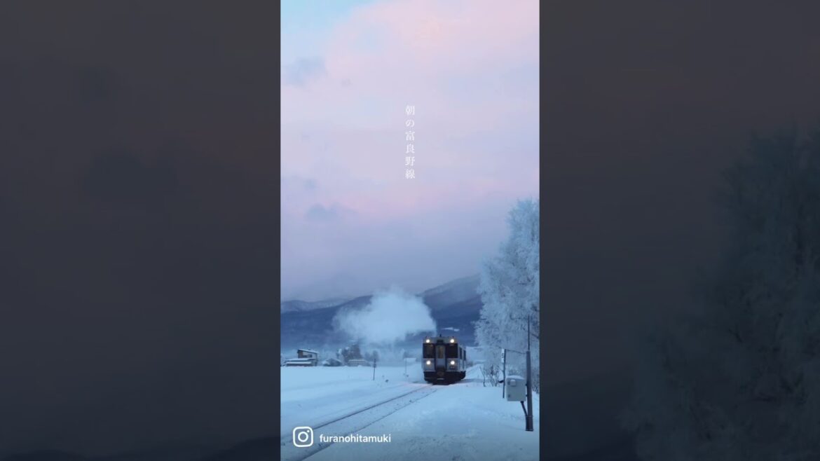 【富良野観光物語】JR富良野線の朝 #shorts #ローカル線 #鉄道 #jr北海道 #furano #hokkaido