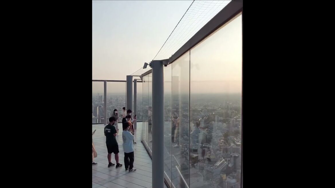 SHIBUYA SKY   #shibuya #japan #shibuyasky #shibuyacrossing #traveljapan   5of15