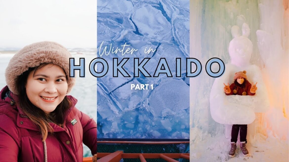 WINTER in HOKKAIDO Part 1: Seals, Drift Ice Cruise, & the Sounkyo Ice Fall Festival