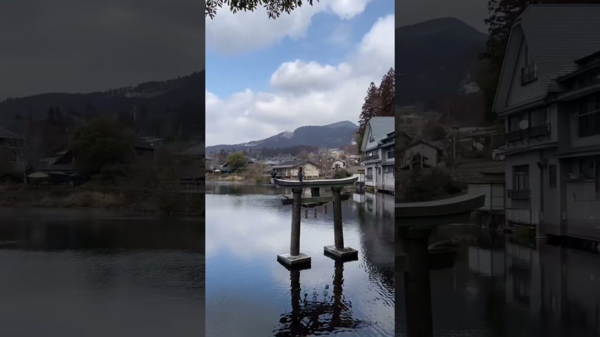 Fukuoka 일본 후쿠오카 여행 🇯🇵