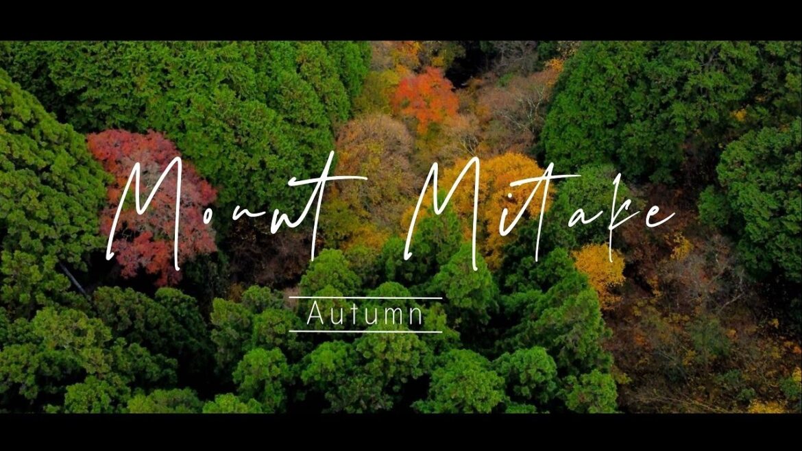 Mount Mitake Hiking. Japan Travel Vlog  御岳山ハイキング