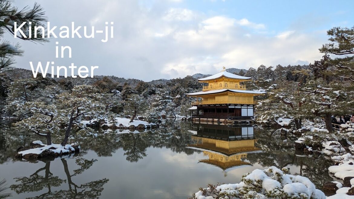 Kinkaku-ji in Winter #kyoto   #winter  #travel