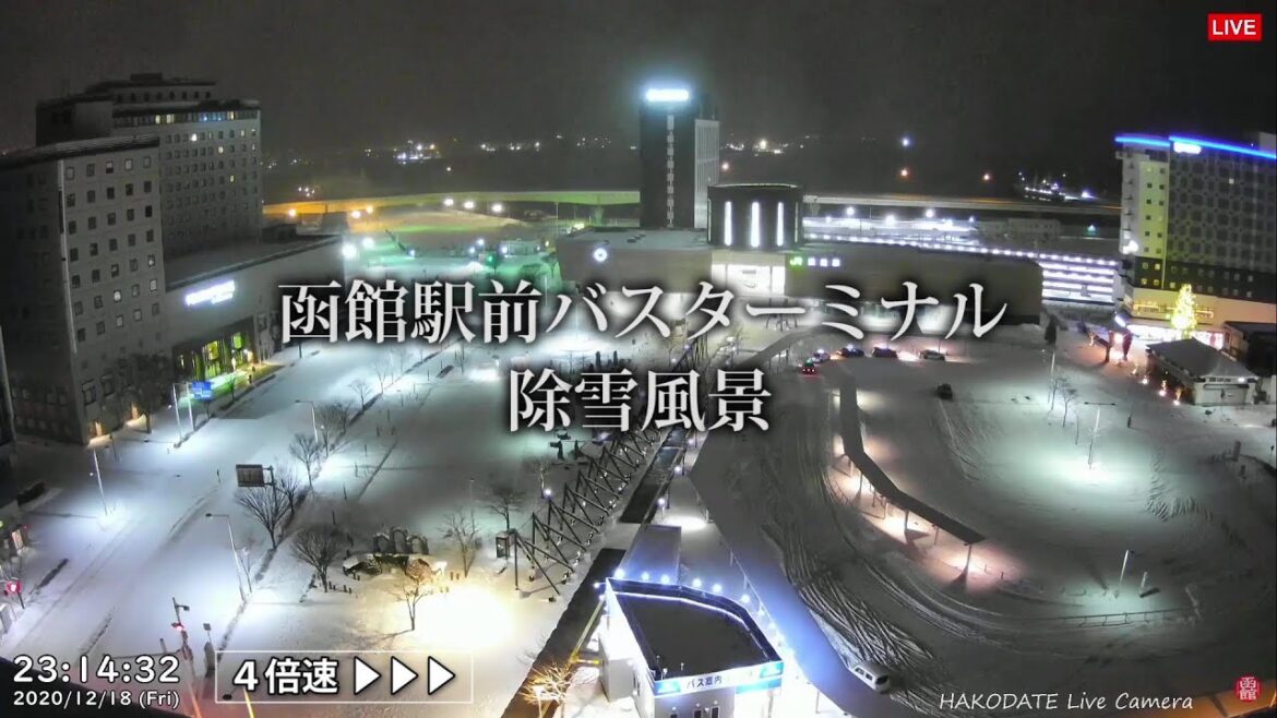 【Clips】函館駅前バスターミナルの除雪風景＜4倍速＞@2020/12/18