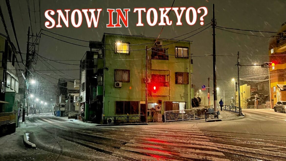 π΄ Snow Watch 2023: Live from Tokyo as the City Braces for a Winter Storm! π΄ Snow Watch 2023: Live from Tokyo as the City Braces for a Winter Storm!