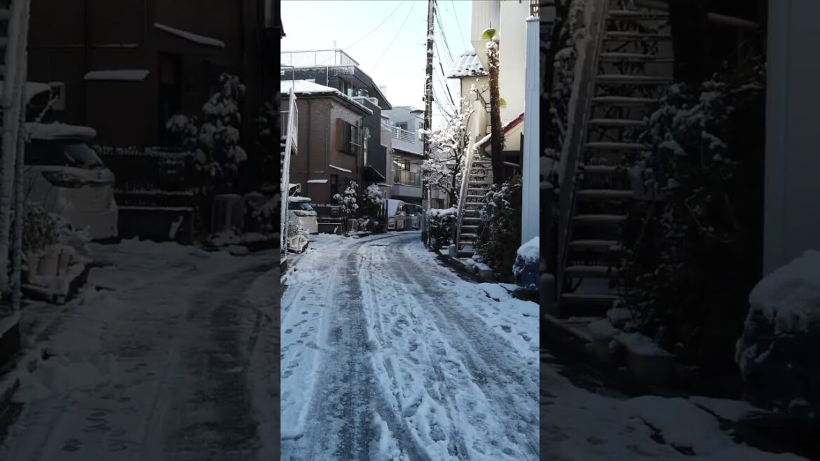 Tokyo Heavy Snowfall [4K] 🇯🇵☃️❤️ #japan #japansnow #tokyo #heavysnowfall #snow #walkthrough #shorts