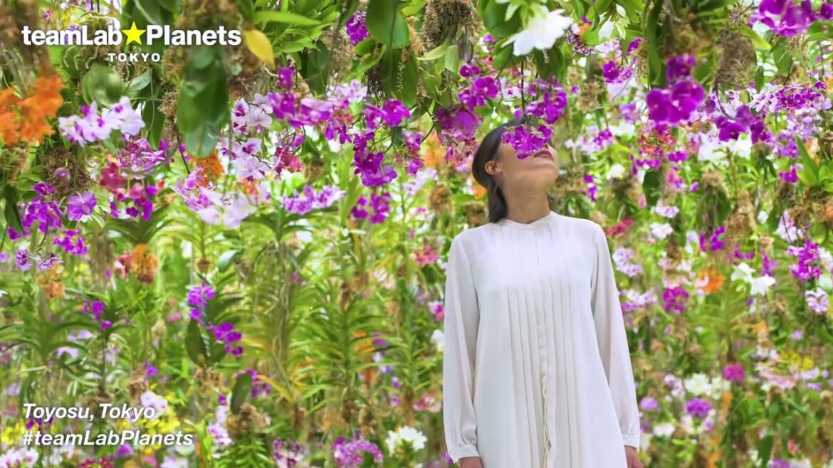 TOKYO teamLab Planets Museum – Unravel Travel TV TOKYO teamLab Planets Museum - Unravel Travel TV