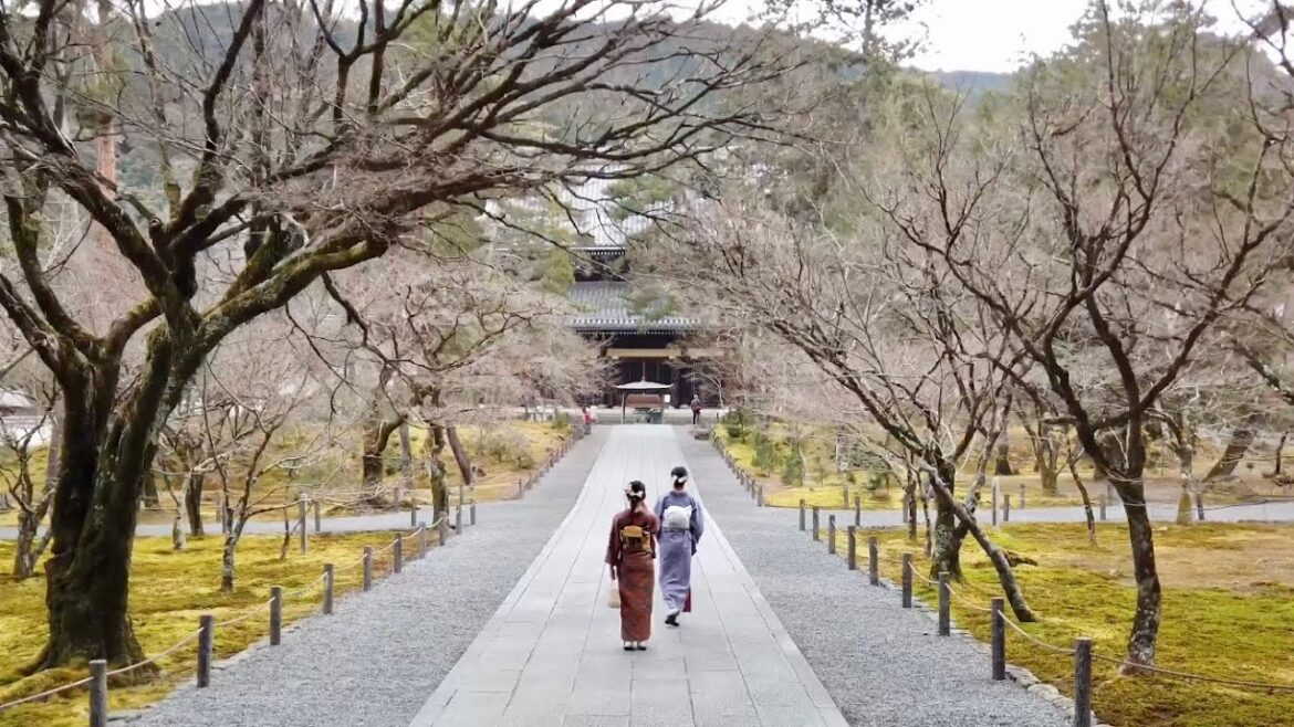 23年2月8日 穏やかな日の京都を歩く 哲学の道,鹿ヶ谷通り,永観堂,南禅寺,水路閣 Walk around Kyoto city,Japan vlog