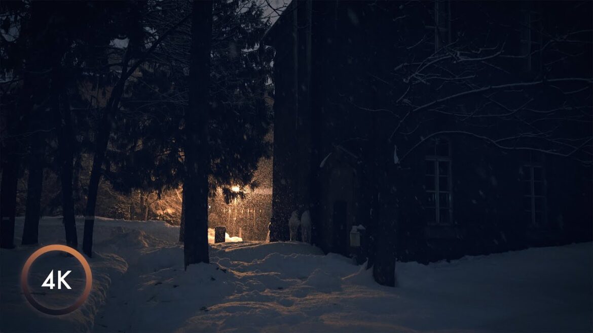 Sapporo Walking in the Snow at Night - Odori Park | 4K