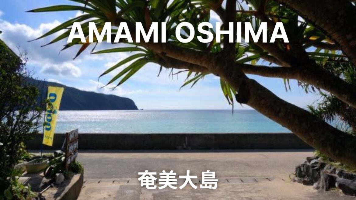 Walking Tour in Amami Oshima, 奄美大島 – Kyushu, Japan Walking Tour in Amami Oshima, 奄美大島 - Kyushu, Japan
