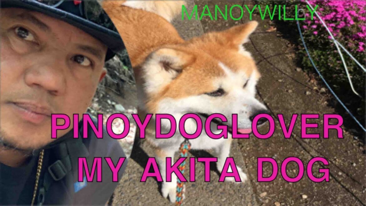 AKITA DOG LOVER MANOYWILLY🎌🇵🇭🦮🦮