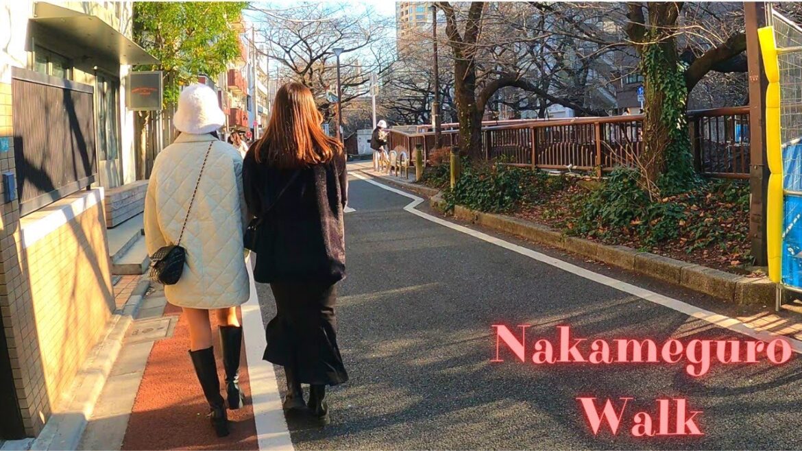 Nakameguro Tokyo in Japan walking tour.【4K】1.2023