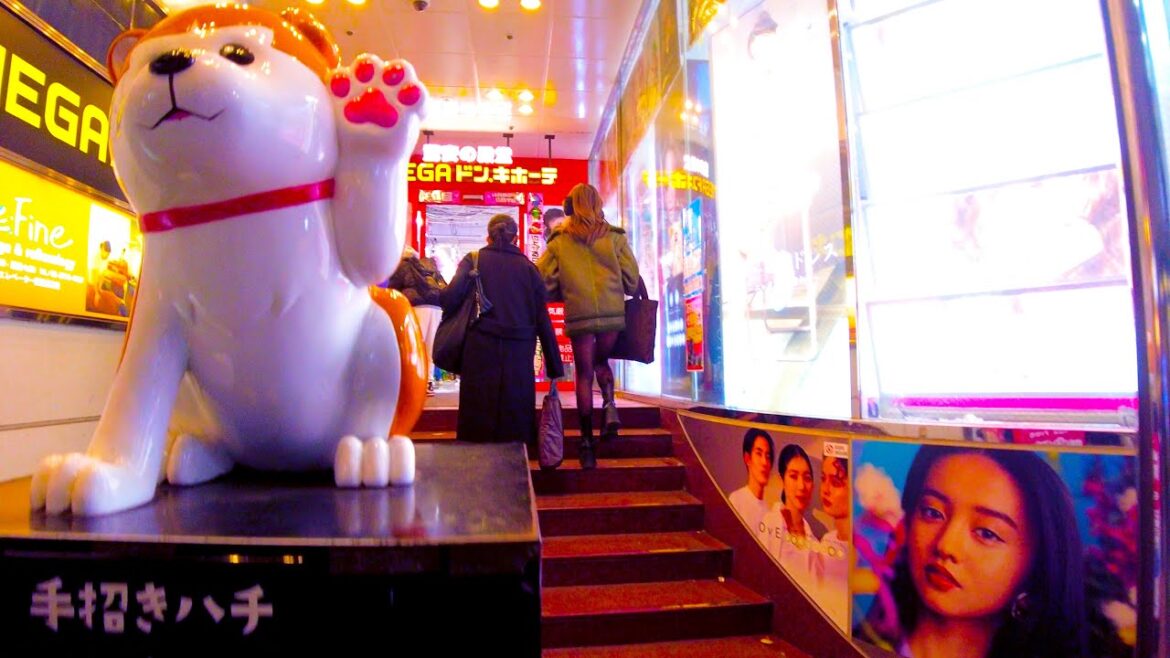 Shibuya in Tokyo 🐶🍻Hero Awakening Town♪💖4K ASMR non-stop 1 hour 03 minutes Shibuya in Tokyo 🐶🍻Hero Awakening Town♪💖4K ASMR non-stop 1 hour 03 minutes