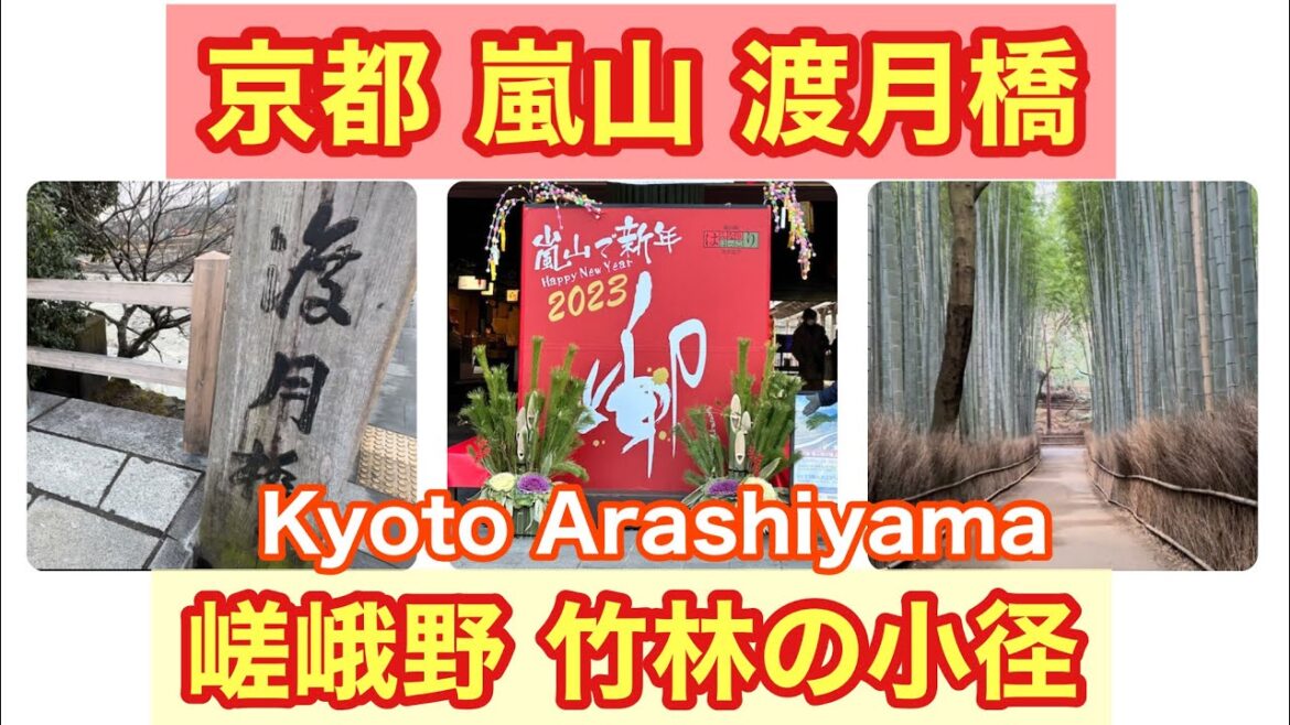 【Kyoto  Arashiyama】朝の嵯峨野！竹林の小径を散策！