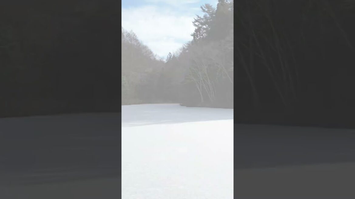 【ドローン空撮映像】冬の長野県山形村 #shorts