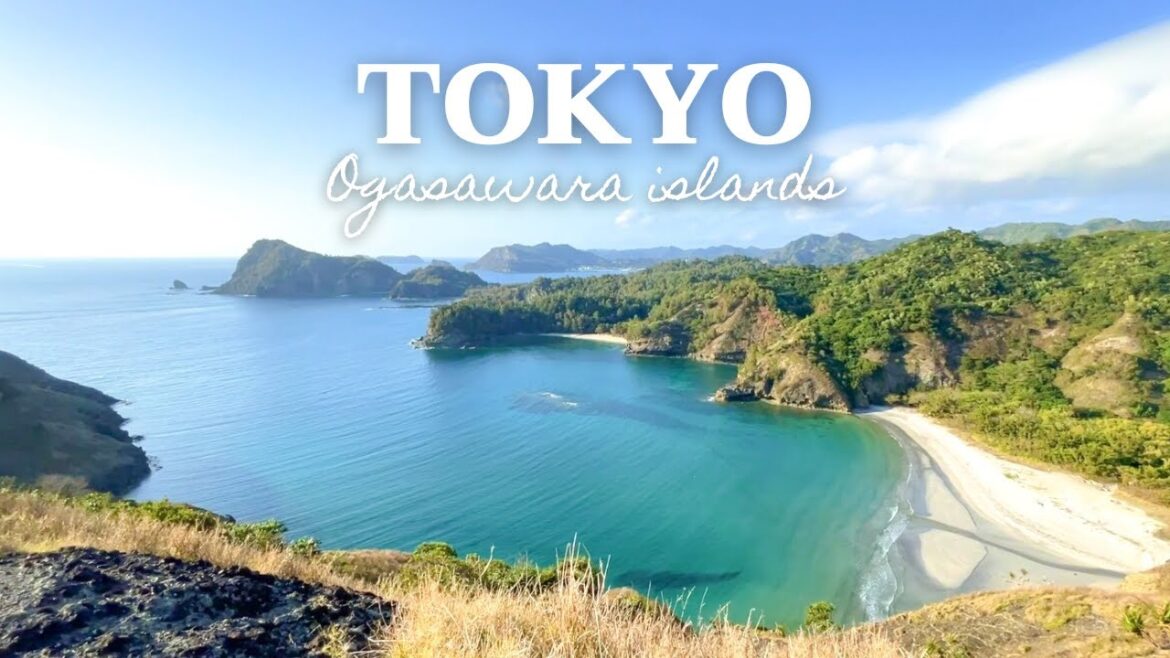 Tokyo’s untouched beautiful island | Ogasawara | World natural heritage in Japan Tokyo’s untouched beautiful island | Ogasawara | World natural heritage in Japan