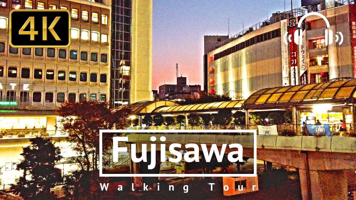 ❗️Bird Alert❗️Fujisawa Walking Tour - Kanagawa Japan [4K/Binaural]