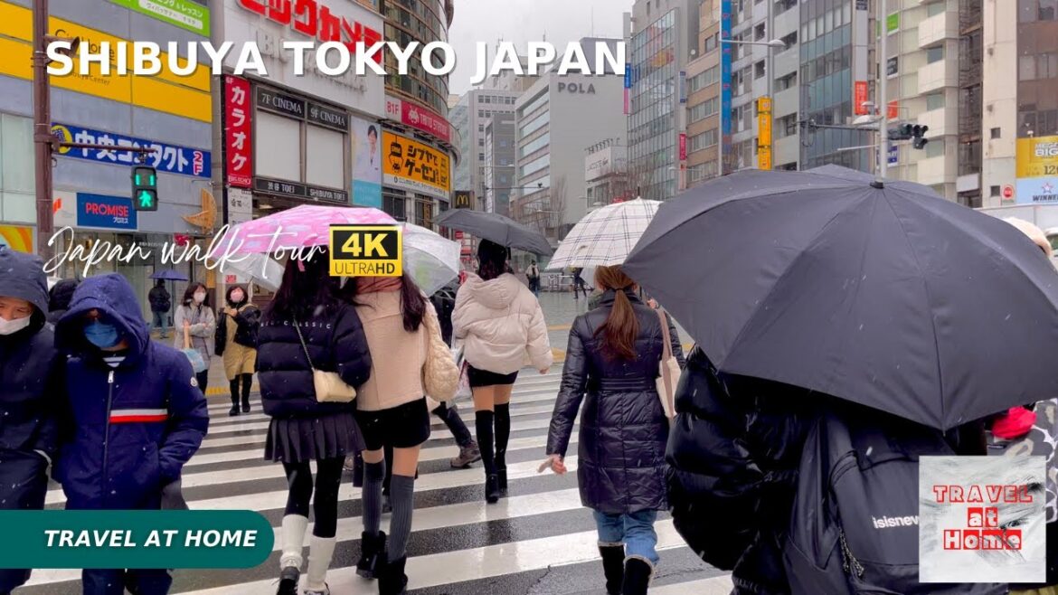 4k hdr japan | Snowing day Walk in Shibuya Tokyo Japan | The first snow in Tokyo in 2023 4k hdr japan | Snowing day Walk in Shibuya Tokyo Japan | The first snow in Tokyo in 2023