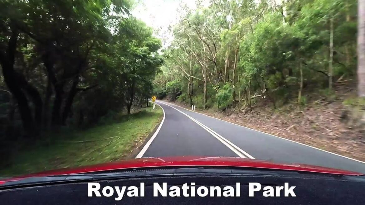 Driving Time Lapse: Bulli to Enagdine via the Grand Pacific Drive