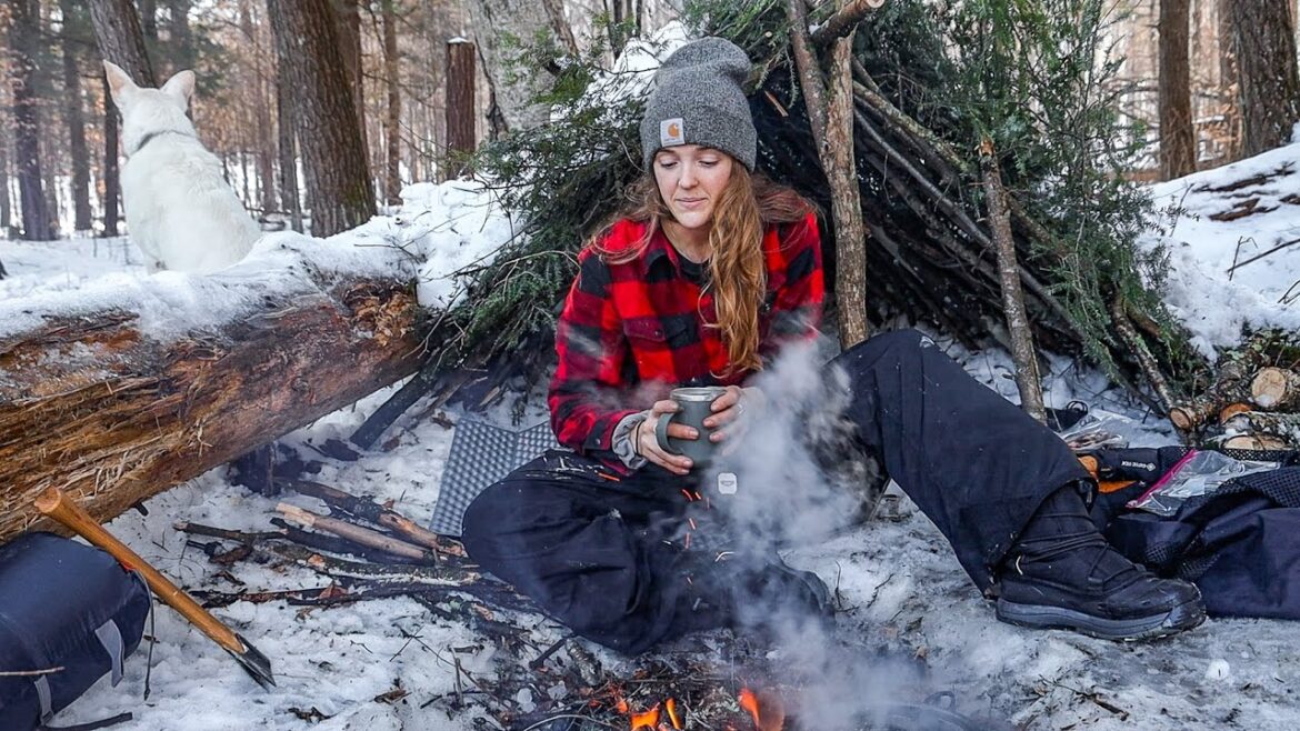 SOLO Winter Bushcraft | negative temps & natural shelter