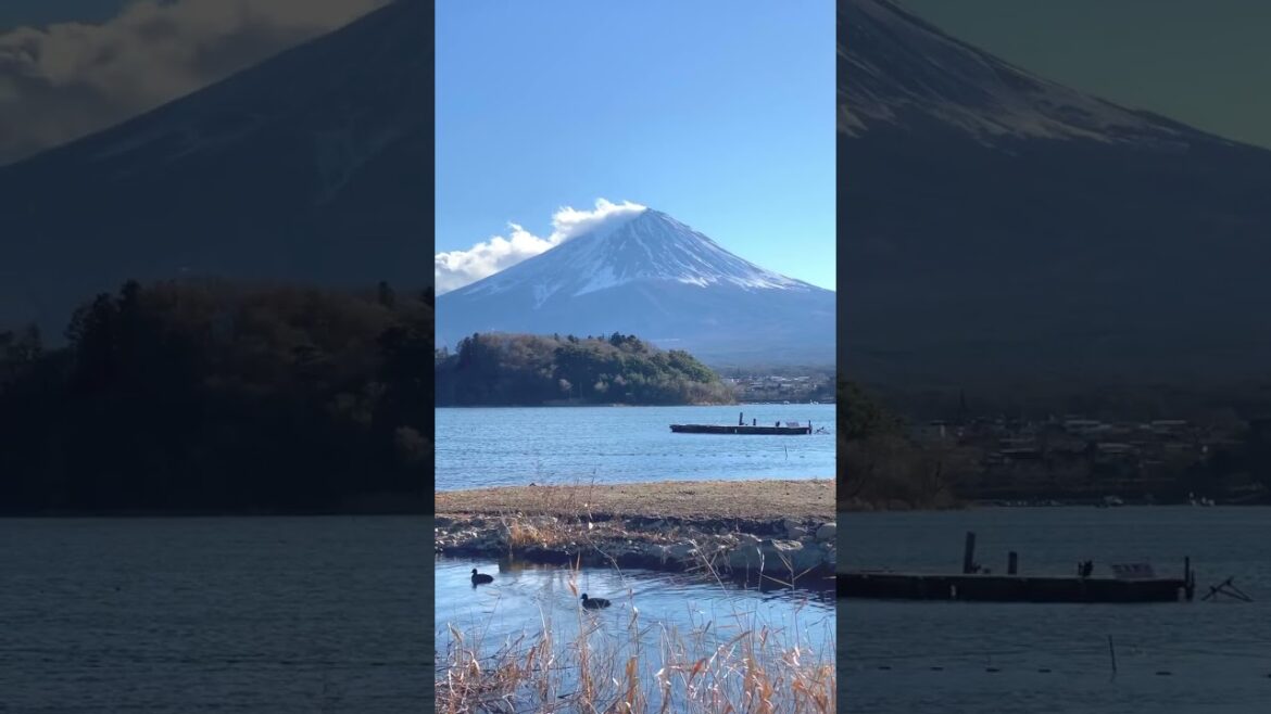 #short #japan #japanese #shorts #travel #vacation #explore #globetrotter #monde #voyage #paysage #short #japan #japanese #shorts #travel #vacation #explore #globetrotter #monde #voyage #paysage