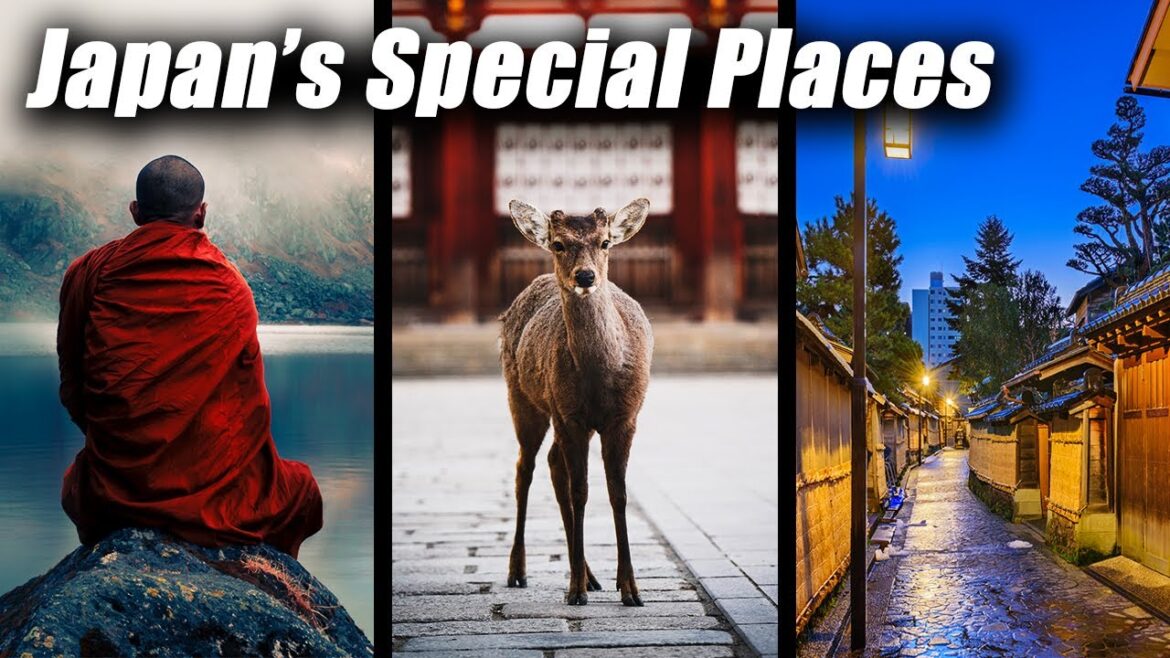Travel Japan 2023! Nara, Kanazawa, Koyasan DON'T MISS THESE!