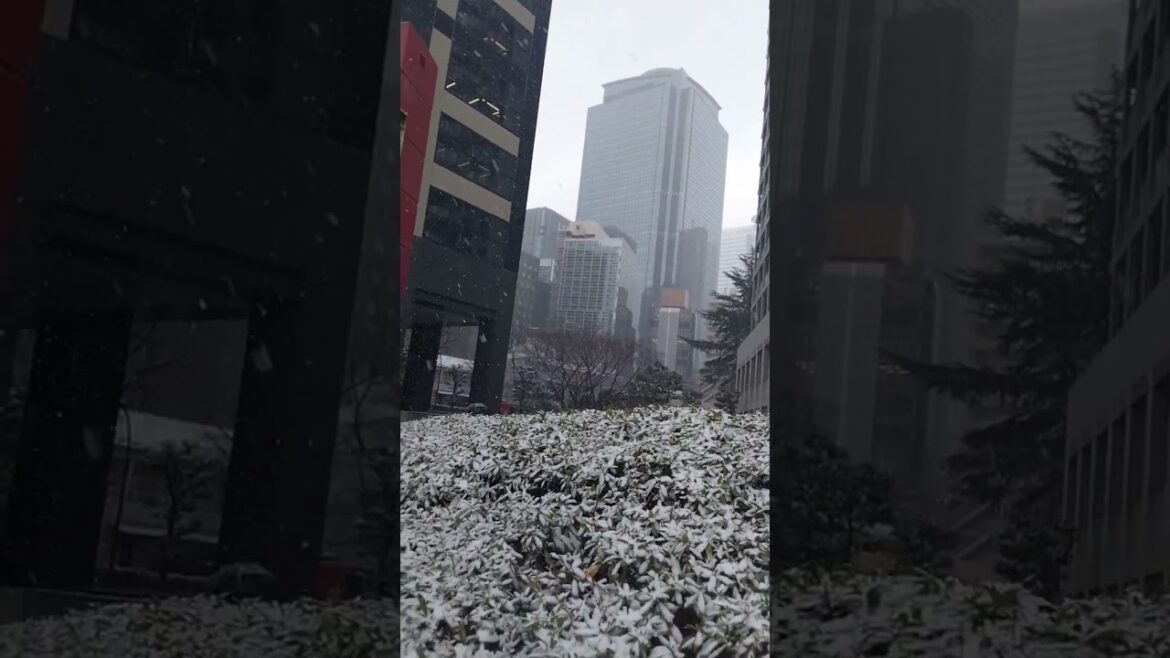 tokyo snowfall ❄️❄️🌧️🌨️#shorts #viralvideo #shortvideo#ternding