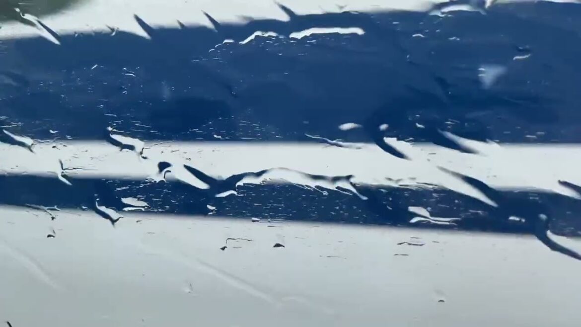 大雪の日に新幹線に乗った。東京→岡山