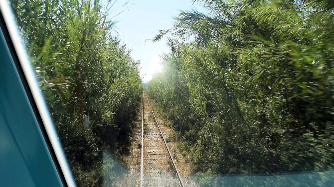 World's Most "Crazy" Train Ride... Katakolo Port - Ancient Olympia Part 3/3