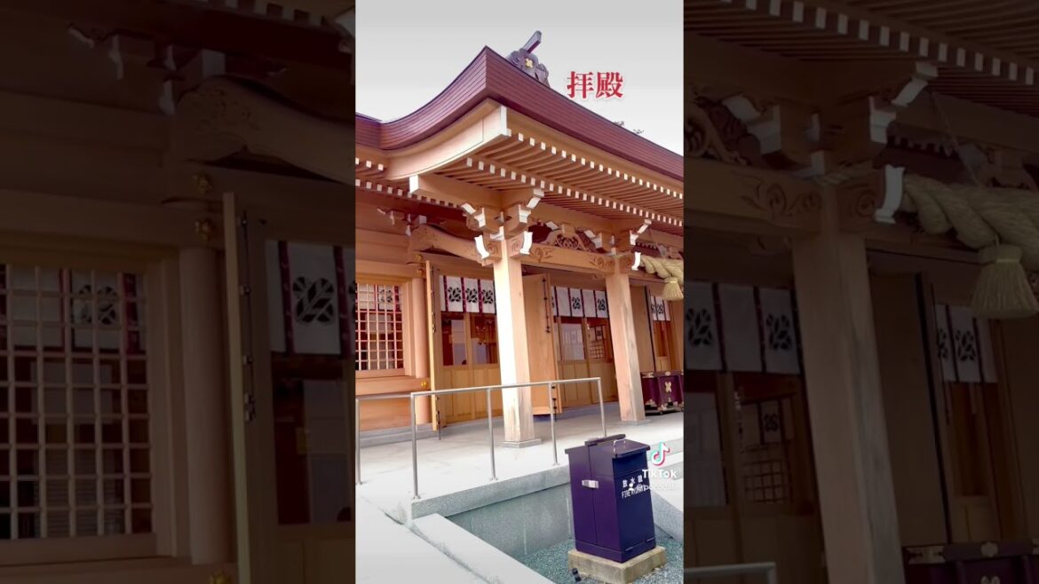 【観光地】阿蘇神社⛩ #熊本 #神社 #旅行