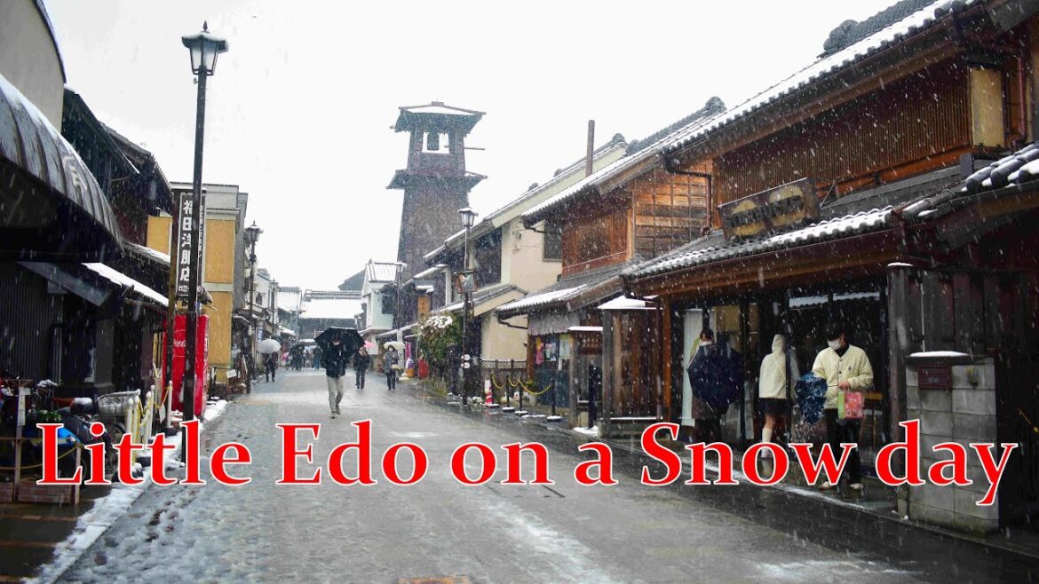 [Greater Tokyo] First Snowfall in 2023 #kawagoe #littleedo #川越市