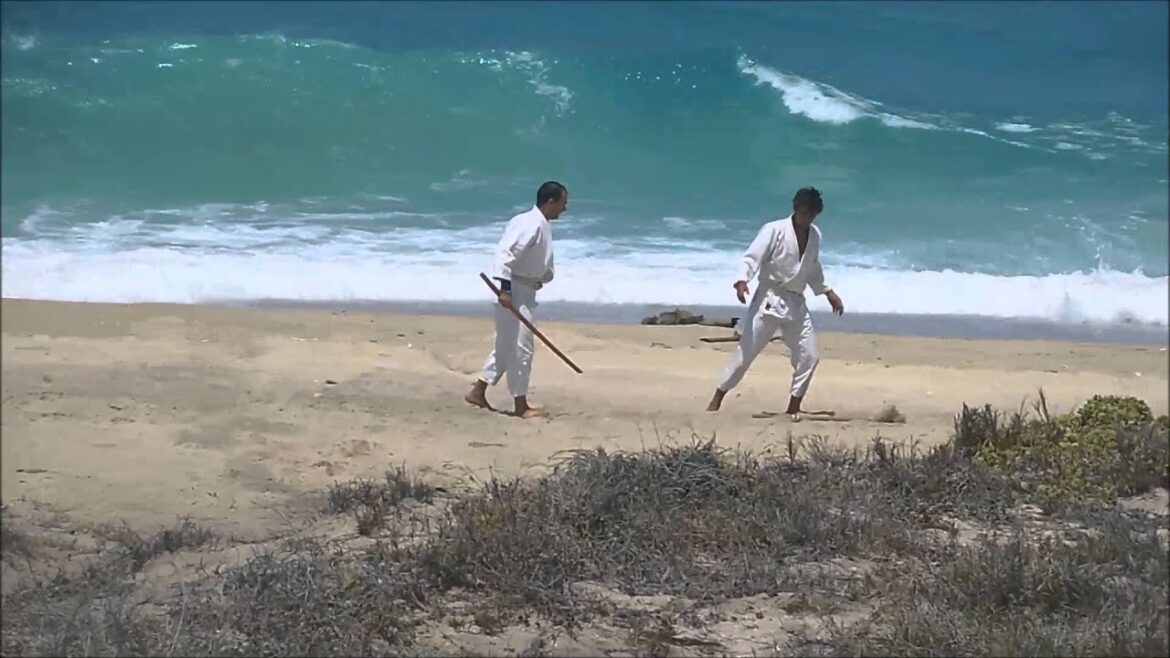 Baja Aikido - Training by the Seaside